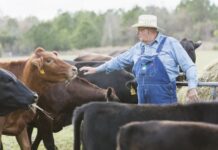 Τρόπους μείωσης εκπομπών αερίου θερμοκηπίου αναζητά η διακομματική Ευρωπαϊκού Κοινοβουλίου για βιώσιμη κτηνοτροφία