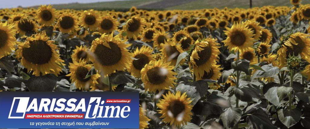 «Εκτός Εαυτού»: Το βραβευμένο εκστατικό ντοκιμαντέρ του Τάσου Γκολέτσου στην Ταινιοθήκη της Ελλάδος