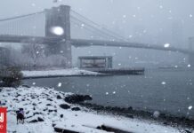 Στους 30 οι νεκροί από την χιονοθύελλα στις ΗΠΑ – Χωρίς ρεύμα εκατοντάδες χιλιάδες σπίτια