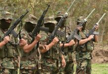 Κολομβία: Οι ένοπλες δυνάμεις σκότωσαν 5 μέλη του μεγαλύτερου καρτέλ της χώρας – Κατέσχεσαν φορτίο – «μαμούθ»