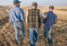 Στοίχημα της νέας ΚΑΠ οι απλούστερες μεταβιβάσεις αγροτικής γης και η πρόωρη συνταξιοδότηση