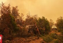 Αργεντινή: Σε «κατάσταση έκτακτης ανάγκης» η Παταγονία λόγω των πυρκαγιών – Στάχτη 450.000 στρέμματα