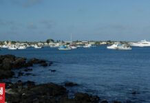 Μακάβριο θέαμα στον Ισημερινό: Βρέθηκαν πέντε κομμένα κεφάλια σε παραλία – Τι συνέβη