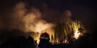 Σύλληψη υπόπτου για τις πυρκαγιές στη Χιλή – Στους 21 οι νεκροί