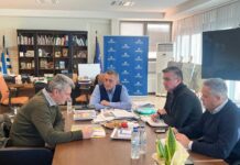 Στα σκαριά τράπεζα σπόρων στην Θεσσαλία για διαφύλαξη βιοποικιλότητας στην περιοχή