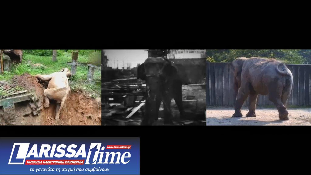 Sundance 2026: Η Ιστορία των ντοκιμαντέρ… στο Sundance 2026