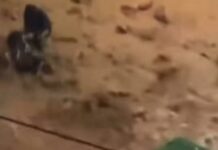 Κακοκαιρία: Δύο άνδρες έσωσαν μία άλλη γυναίκα στη Γλυφάδα κοντά στο σημείο της τραγωδίας