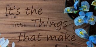 Τα μικρά πράγματα που μάθαμε να υποτιμούμε