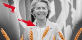 Συμφωνία ΕΕ-Mercosur: Τόσος χαμός μόλις για 0,05% ανάπτυξη;