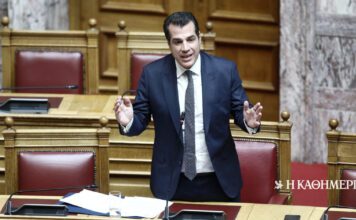 Θ. Πλεύρης: Καμία διαδικασία νομιμοποίησης όσων βρίσκονται παράνομα στη χώρα