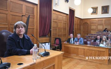 Βουλή – Εξεταστική ΟΠΕΚΕΠΕ: Τι κατέθεσε η πρώην αντιπρόεδρος, Ειρήνη Κατσινοπούλου