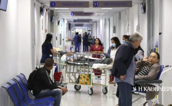 Γρίπη: Εκκληση Γεωργιάδη για εμβολιασμό – «Τεράστια η πίεση στα νοσοκομεία»