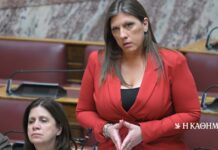 Εξεταστική για ΟΠΕΚΕΠΕ: Επεισόδιο με Κωνσταντοπούλου – Διεκόπη η συνεδρίαση