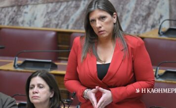 Εξεταστική για ΟΠΕΚΕΠΕ: Επεισόδιο με Κωνσταντοπούλου – Διεκόπη η συνεδρίαση