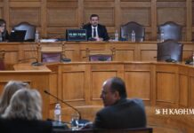 Εξεταστική για ΟΠΕΚΕΠΕ: Κατέθεσε η πρώην αντιπρόεδρος Αννα Μαρία Γιάντση