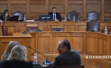 Εξεταστική για ΟΠΕΚΕΠΕ: Κατέθεσε η πρώην αντιπρόεδρος Αννα Μαρία Γιάντση