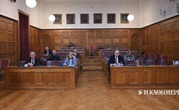 Αποστολάκος στην εξεταστική για ΟΠΕΚΕΠΕ: Η τεχνική λύση βόλεψε όλες τις κυβερνήσεις