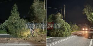 Σύρος: Σφοδροί άνεμοι έριξαν δέντρο στον δρόμο