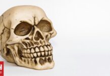 Αποκαλύφθηκε το πρόσωπο ενός «βρικόλακα»: Η επιστήμη ανακατασκευάζει την εικόνα του