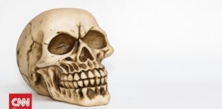 Αποκαλύφθηκε το πρόσωπο ενός «βρικόλακα»: Η επιστήμη ανακατασκευάζει την εικόνα του