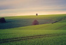 Διορθώσεις ΟΣΔΕ μέχρι 9 Μαρτίου και ανοιχτό Agrisnap έως 24 Μαρτίου απεφάνθη η διοίκηση της ΑΑΔΕ