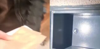 Βίντεο από τις έρευνες της ΑΑΔΕ για το κύκλωμα «αχυρανθρώπων»