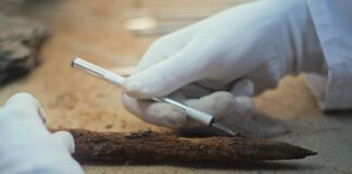 Μεγαλόπολη: Τα αρχαιότερα ξύλινα εργαλεία στον κόσμο βρέθηκαν στην Αρκαδία!