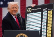 Φωτιά στα αγροτικά εμπορεύματα βάζει η απόφαση ακύρωσης των δασμών Τραμπ, μίνι ράλι το βαμβάκι