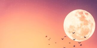 Κάθε αποτυχία είναι μια μικρή πρόβα προς την επιτυχία