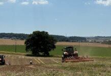 Αρχές Μαρτίου ανοίγει ξανά το myBusinessSupport για τις δηλώσεις ΑΤΑΚ/ΚΑΕΚ 2025