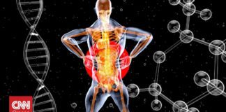 Επιστήμονες εντόπισαν έναν κρυμμένο «διακόπτη» που παράγει λίπος στο σώμα – και τον κατέβασαν