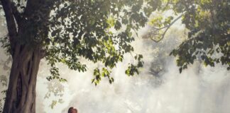 Τι συμβαίνει στον εγκέφαλο όταν διαλογιζόμαστε; Τα ευρήματα από μελέτες σε βουδιστές μοναχούς