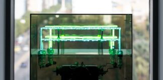 «Ελληνικός Μήνας και Θαλασσόκαμπος»: Ημερίδα την Κυριακή 8/2 στο ΕΜΣΤ για τον αντίκτυπό του στη σύγχρονη ελληνική τέχνη