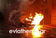 Ψαχνά Ευβοίας: Συναγερμός στην πυροσβεστική έπειτα από φωτιά που ξέσπασε σε αυτοκίνητο