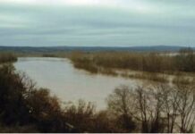 Τραγωδία στον Έβρο: Δύο νεκροί μετανάστες