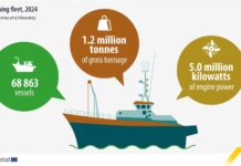 Μικραίνει διαρκώς ο αλιευτικός στόλος της ΕΕ, λέει η έκθεση για την ευρωπαϊκή τροφική αλυσίδα