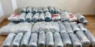 Θεσπρωτία: Αστυνομικοί εντόπισαν 75 κιλά χασίς σε όχημα – 1 σύλληψη