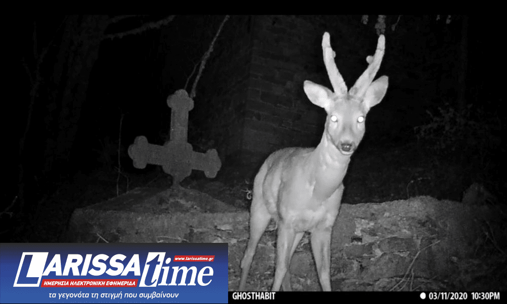 «Ελληνικός Μήνας και Θαλασσόκαμπος»: Ημερίδα την Κυριακή 8/2 στο ΕΜΣΤ για τον αντίκτυπό του στη σύγχρονη ελληνική τέχνη