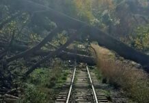 Hellenic Train: Aναστολή δρομολογίων στον Οδοντωτό Σιδηρόδρομο στο Διακοπτό