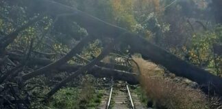 Hellenic Train: Aναστολή δρομολογίων στον Οδοντωτό Σιδηρόδρομο στο Διακοπτό