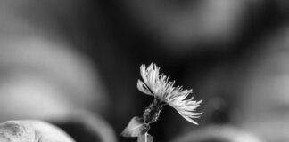 Λιγότερα… Αυτός είναι ο στόχος