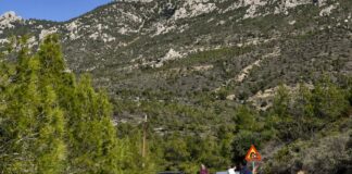 Ο 19χρονος τραυματίας φέρεται να υπέδειξε τον δράστη που σκότωσε τον 17χρονο