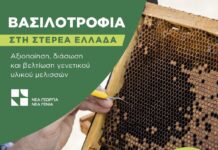 Ξεκίνησε η β φάση του προγράμματος βασιλοτροφίας από Νέα Γεωργία Νέα Γενιά