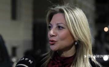 Καρυστιανού για Χίο: Πόνος βαθύς, αλλά το κράτος δεν πράττει όσα μπορεί για να αποτρέψει τις παράνομες εισβολές