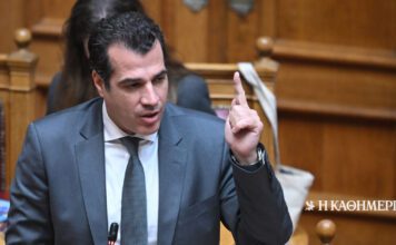Θ. Πλεύρης: Πλήρης διερεύνηση για την απόρριψη ασύλου Τούρκου ακτιβιστή ποντιακής καταγωγής