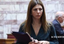 Ζαχαράκη σε ΠΑΣΟΚ και ΣΥΡΙΖΑ: Προσχηματικές οι ανακοινώσεις περί μονομερούς εθνικού διαλόγου