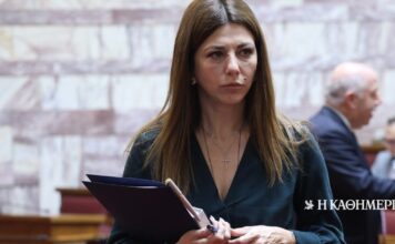 Ζαχαράκη σε ΠΑΣΟΚ και ΣΥΡΙΖΑ: Προσχηματικές οι ανακοινώσεις περί μονομερούς εθνικού διαλόγου