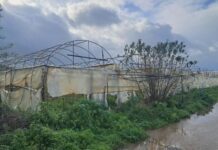 Κάτω από το νερό θερμοκηπιακές και υπαίθριες καλλιέργειες στην Ηλεία από την υπερχείλιση Πηνειού