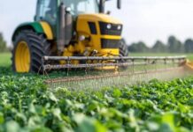 Αλλαγές στον πίνακα Γ2’ για αγροτικές ενισχύσεις και εισοδήματα 2025