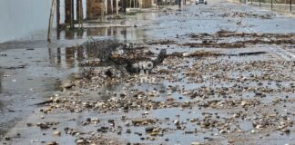 Στο έλεος των «μποφόρ» η Χίος: Σοβαρά προβλήματα στο νησί από τους θυελλώδεις ανέμους